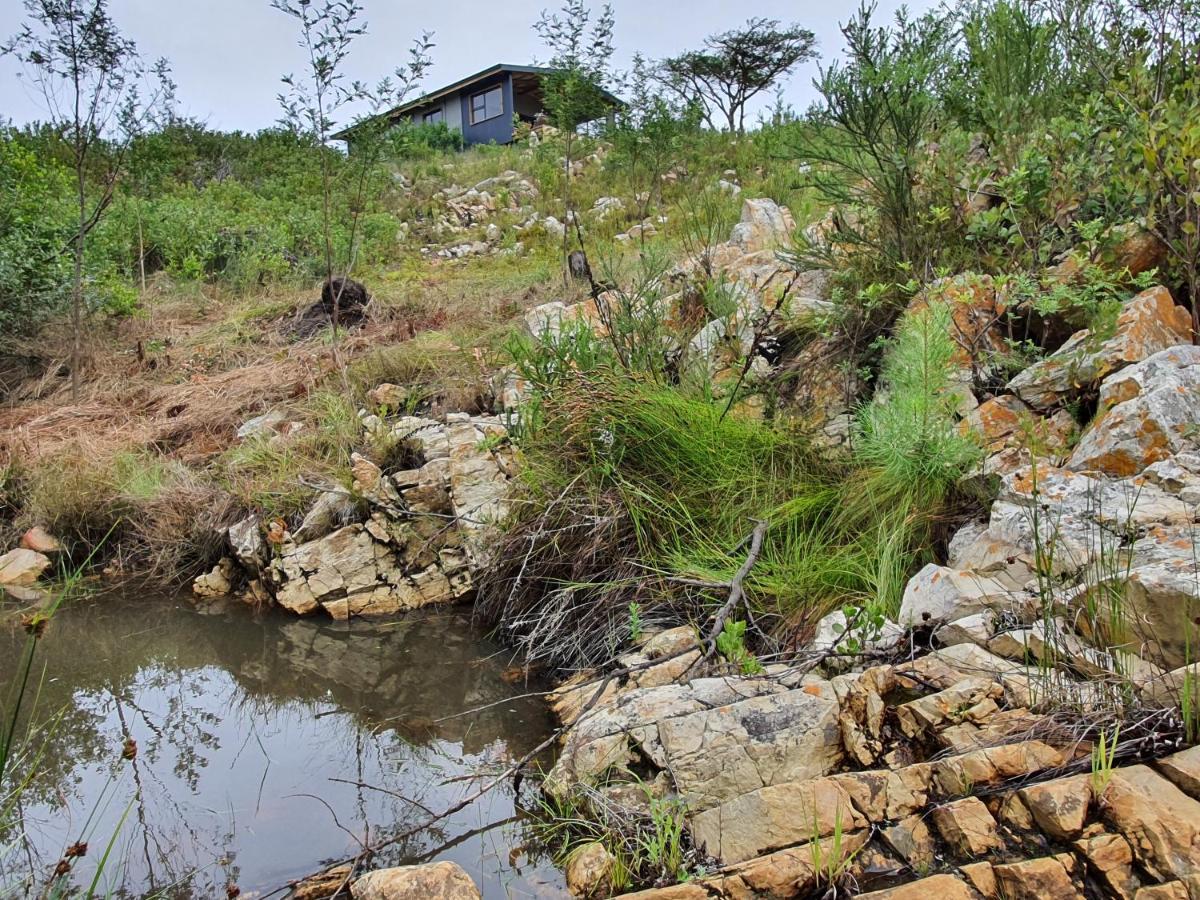 Caracal Cottage Plettenberg Bay Esterno foto